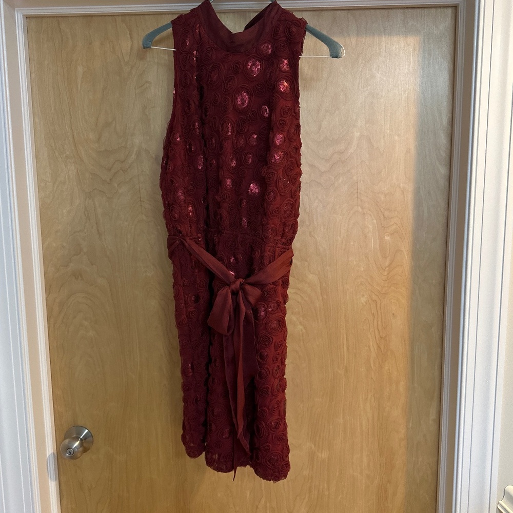 Anthropologie Maroon Dress